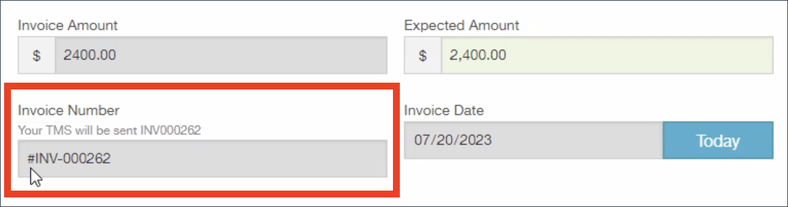 tpa_invoice_special_char.png